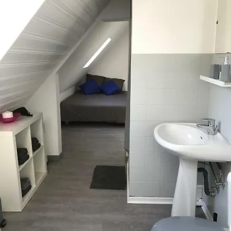 F1 Atypique Au Centre De * Strasbourg