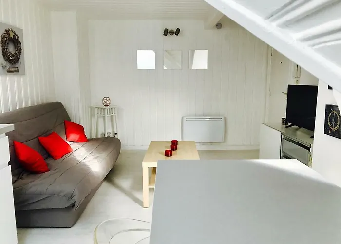 F1 Atypique Au Centre De * Strasbourg