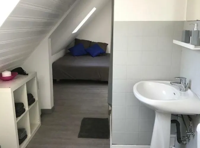 F1 Atypique Au Centre De * Strasbourg