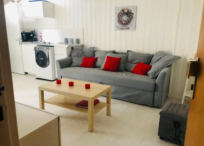 F1 Atypique Au Centre De * Strasbourg