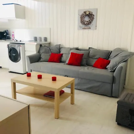 F1 Atypique Au Centre De * Straatsburg